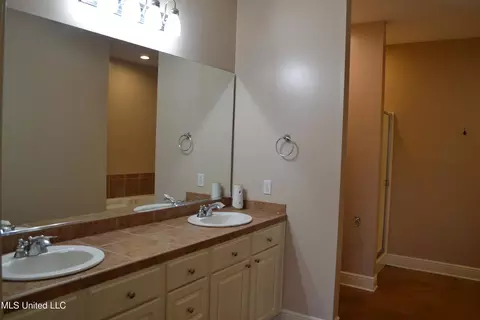 328 Red Cedar Dr, Brandon, MS 39047 photo 22
