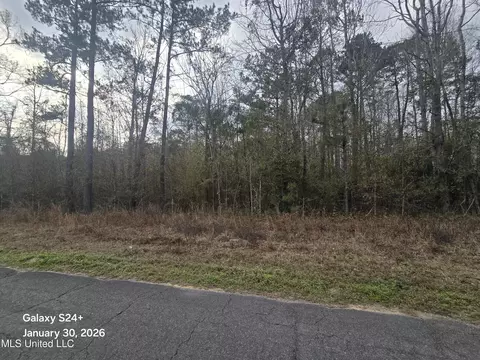 0 Osborn Moody Rd, Poplarville, MS 39470
