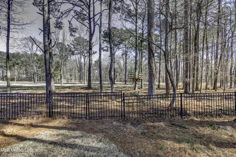 Exterior - 268 Sundial Rd, Madison, MS 39110 photo 10 of 15