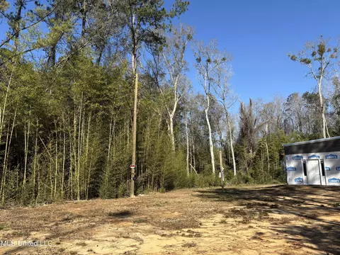 Exterior - 26460 Billy Hinton Rd, Lucedale, MS 39452 photo 2 of 4