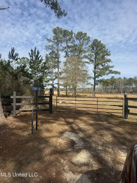 51 L Jack Stewart Rd, Poplarville, MS 39470
