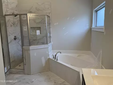 Bath - 7866 Ella Pointe Pointe, Walls, MS 38680 photo 1 of 4