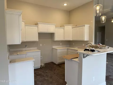 Kitchen - 7866 Ella Pointe Pointe, Walls, MS 38680 photo 1 of 1
