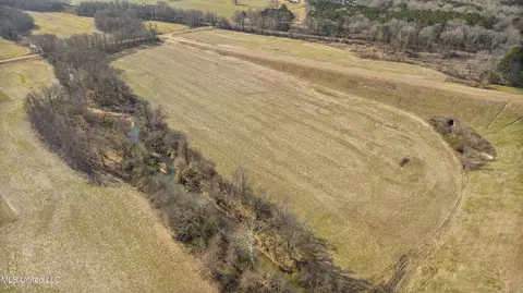 Holmes Road, Senatobia, MS 38668 photo 10