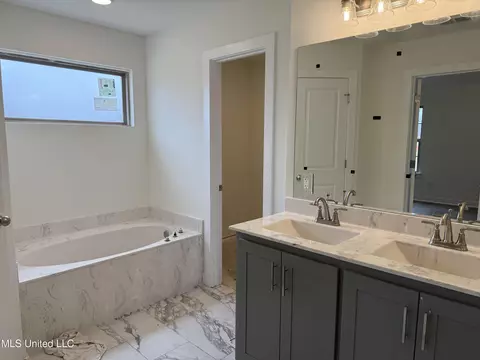 Bath - 6588 Boxley Pointe Pointe, Walls, MS 38680 photo 1 of 5