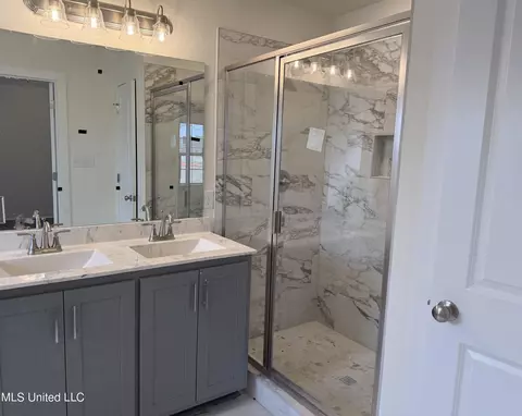 Bath - 6588 Boxley Pointe Pointe, Walls, MS 38680 photo 5 of 5