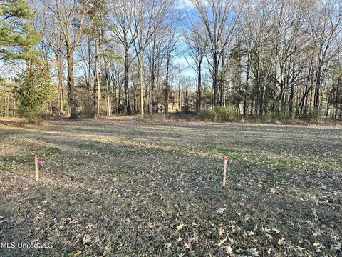 Douglas Road, Hernando, MS 38632 photo 4