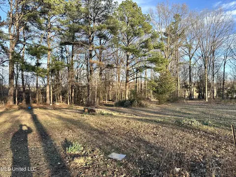 Douglas Road, Hernando, MS 38632 photo 2