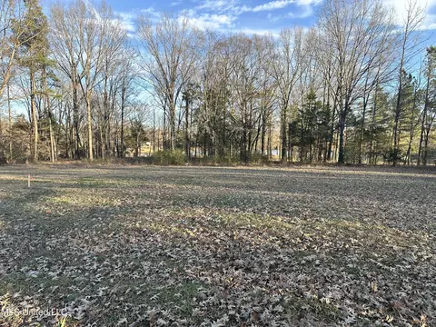 Douglas Road, Hernando, MS 38632 photo 3