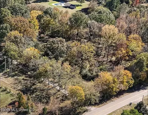 Douglas Rd, Hernando, MS 38632 photo 3