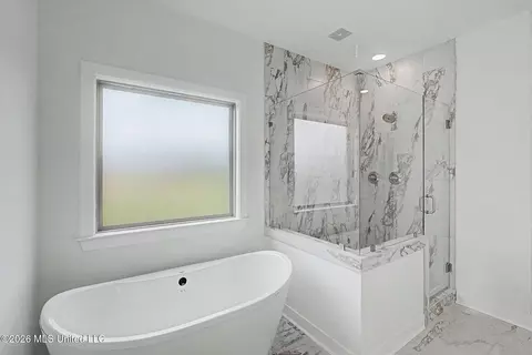 Bath - 1593 Tributary Dr, Hernando, MS 38632 photo 2 of 5