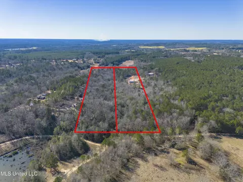 181 County Rd 30a, Mount Olive, MS 39119 photo 2