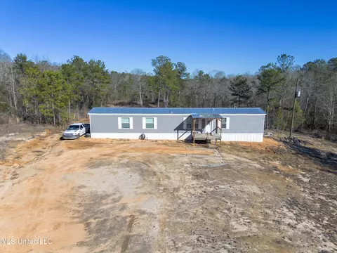 181 County Rd 30a, Mount Olive, MS 39119 photo 5