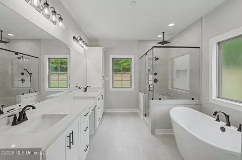 Bath - 1528 Tributary Dr, Hernando, MS 38632 photo 1 of 4