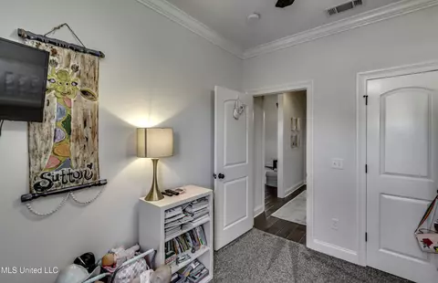 Other - 307 Emerald Way, Brandon, MS 39047 photo 5 of 11