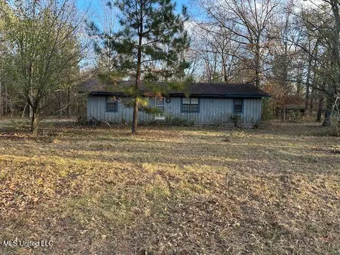 696 Coal Bluff Rd, Lena, MS 39094
