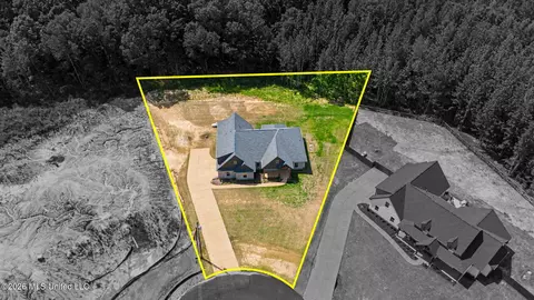 View/Area - 9072 Treadway Crk, Hernando, MS 38632 photo 3 of 3