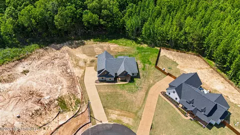View/Area - 9072 Treadway Crk, Hernando, MS 38632 photo 2 of 3