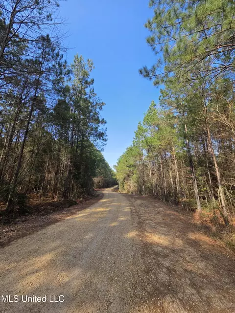 0 Wildwood Trl, Meadville, MS 39653
