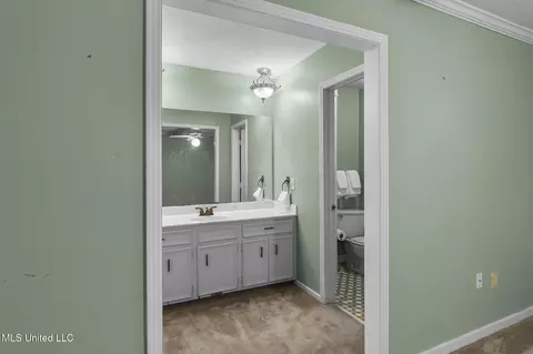 Bath - 102 Sunline Dr, Brandon, MS 39042 photo 1 of 5