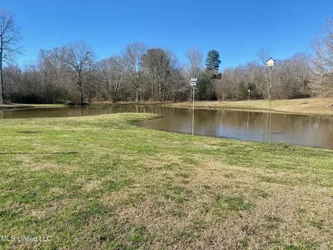 716 Whitfield Rd, Brandon, MS 39042 photo 6
