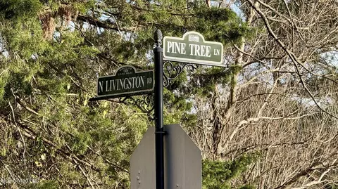 0 N Livingston Rd, Ridgeland, MS 39157