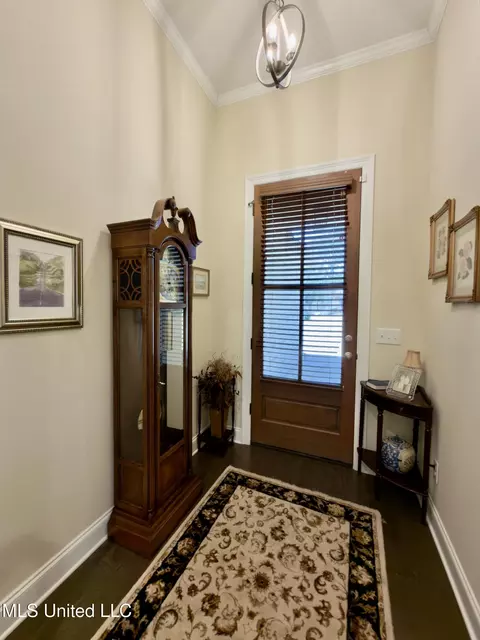 Entry Way - 245 Falls Xing, Madison, MS 39110 photo 1 of 3