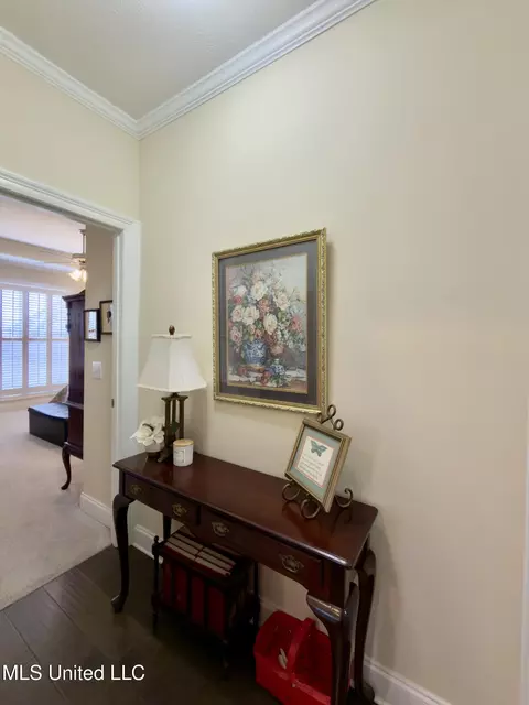 Entry Way - 245 Falls Xing, Madison, MS 39110 photo 3 of 3