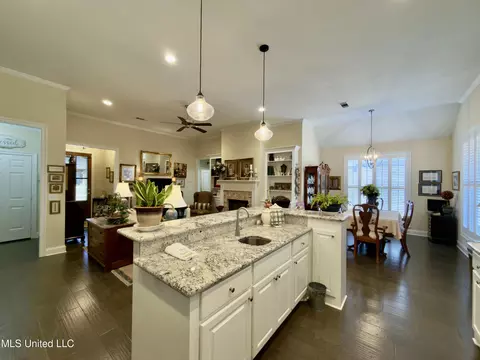 Kitchen - 245 Falls Xing, Madison, MS 39110 photo 2 of 5