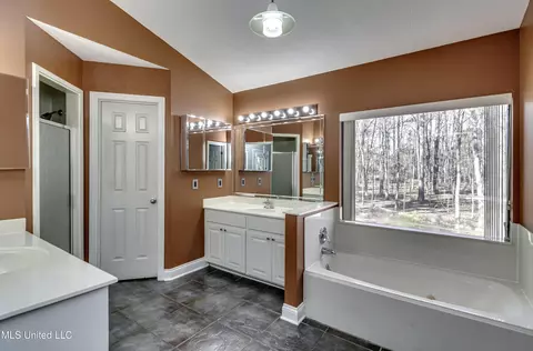 Bath - 110 Meadowview Dr, Brandon, MS 39047 photo 2 of 8