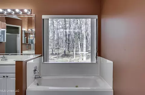 Bath - 110 Meadowview Dr, Brandon, MS 39047 photo 4 of 8