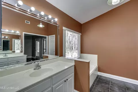 Bath - 110 Meadowview Dr, Brandon, MS 39047 photo 1 of 8