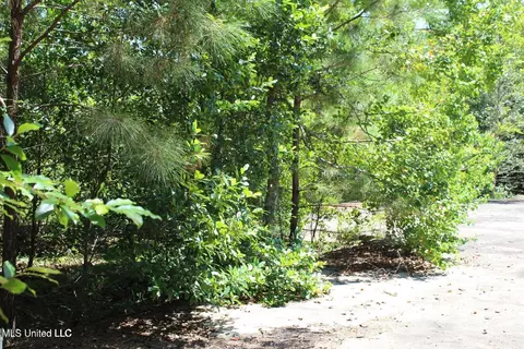 15 4 Acres Lloyd Eubanks Rd, Lucedale, MS 39452
