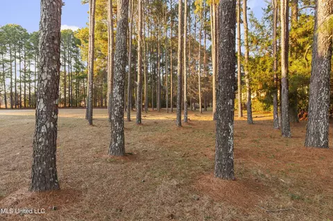 155 Pembroke Cir, Madison, MS 39110 photo 12