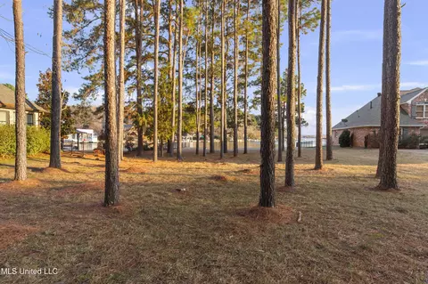 155 Pembroke Cir, Madison, MS 39110 photo 3