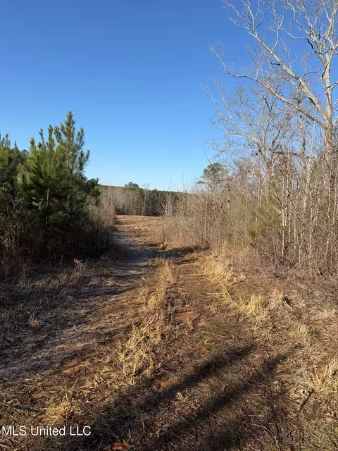 5547 Rocky Point Rd, Carthage, MS 39051