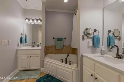 Bath - 412 Rolling Hills Cir, Brandon, MS 39042 photo 2 of 7