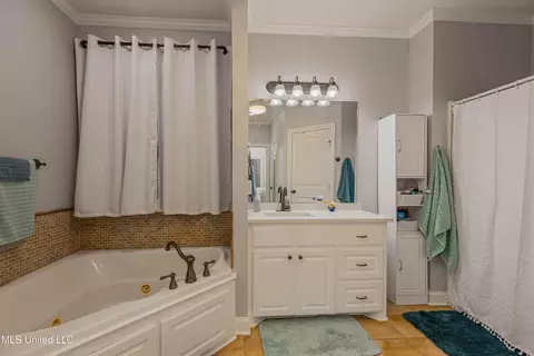 Bath - 412 Rolling Hills Cir, Brandon, MS 39042 photo 1 of 7