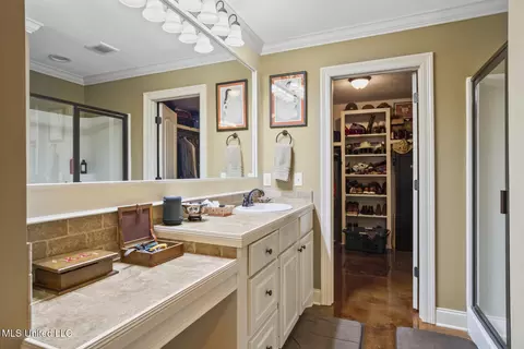 Other - 233 Rockbridge Dr, Madison, MS 39110 photo 6 of 8