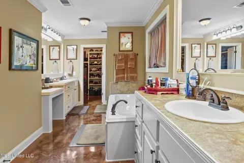 Bath - 233 Rockbridge Dr, Madison, MS 39110 photo 3 of 3