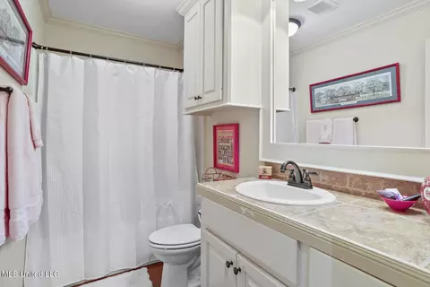 Bath - 233 Rockbridge Dr, Madison, MS 39110 photo 1 of 3