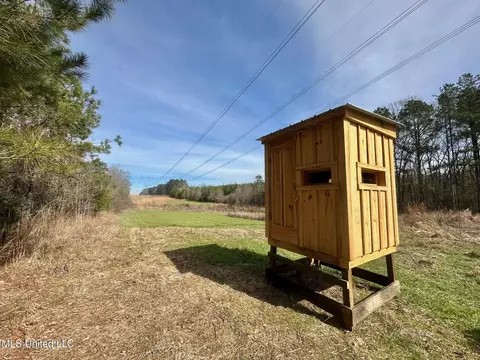 10 Dry Grove Rd, Terry, MS 39170 photo 13