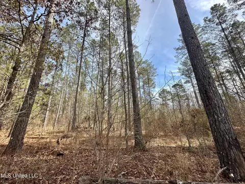 10 Dry Grove Rd, Terry, MS 39170 photo 9