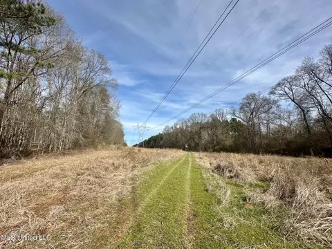 10 Dry Grove Rd, Terry, MS 39170 photo 6