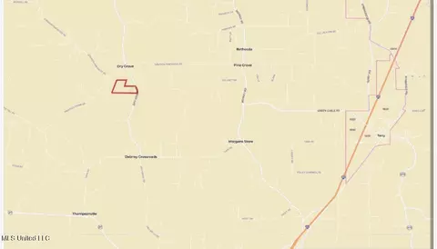 10 Dry Grove Rd, Terry, MS 39170 photo 41