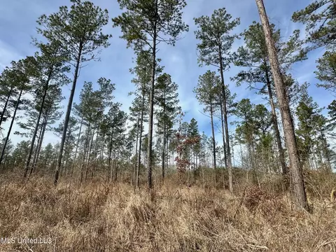 10 Dry Grove Rd, Terry, MS 39170 photo 4