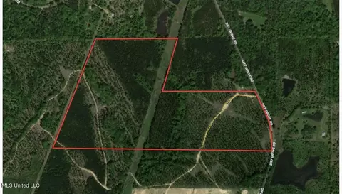 10 Dry Grove Rd, Terry, MS 39170 photo 39