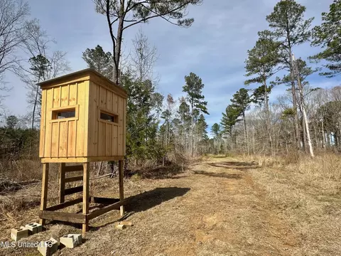 10 Dry Grove Rd, Terry, MS 39170 photo 26