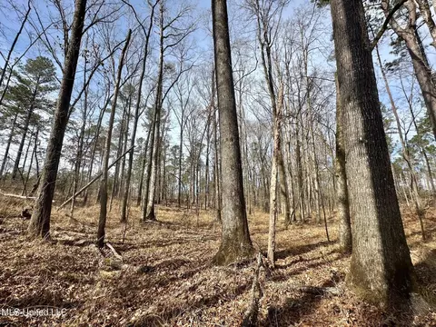 10 Dry Grove Rd, Terry, MS 39170 photo 30