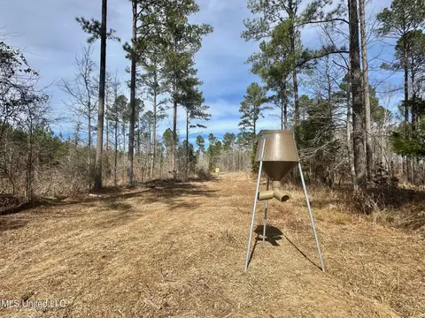 10 Dry Grove Rd, Terry, MS 39170 photo 25